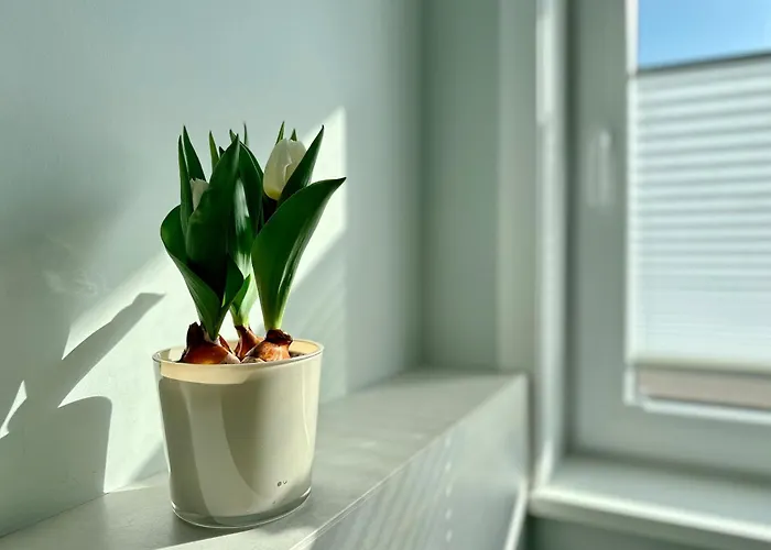 شقة Ebbe Flut, Whg 8 فيسترلاند